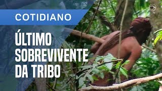 ÍNDIO SOBREVIVENTE VIVE ISOLADO HÁ 22 ANOS NA AMAZÔNIA [upl. by Fortier]