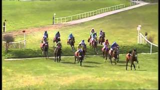 Punchestown Banks Guide [upl. by Ailey]