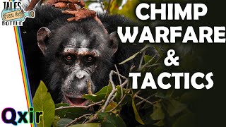 Can Chimps Wage War  Tales From the Bottle [upl. by Aihsened]