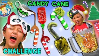 HOLIDAY CANDYCANES FLAVOR CHALLENGE Smoothie Mix FUNnel Vision Taste Test Fun [upl. by Neeliak]