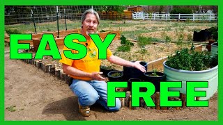 Make a Garden Border Easy DIY [upl. by Ativet]