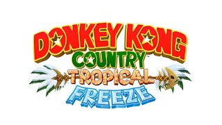 Irate Eight Slowed  Reverb  Donkey Kong Country Tropical Freeze Music Extended [upl. by Dickson]