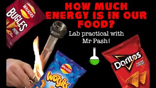 How much energy is in our food Crisp burning lab practical with Mr Pash [upl. by Hpesoj]