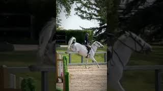 Spooky trucks blowup horse trending horseriding riding horsey horsebackriding equestrian [upl. by Georgi]