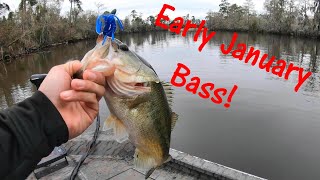 Louisiana Bass Fishing in JanuaryEthan doing his thing [upl. by Siari848]