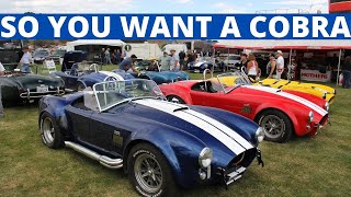 Basics on Building and Buying a Replica Cobra [upl. by Aicemak]