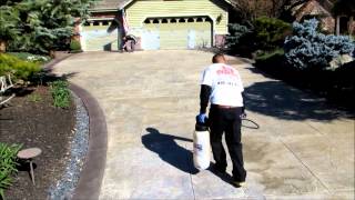 Endurable Stamped Concrete Staining [upl. by Servetnick767]