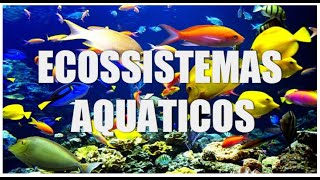 Ecossistemas aquáticos  Zona costeira Mangue Costão rochoso e Restinga [upl. by Eednahs]