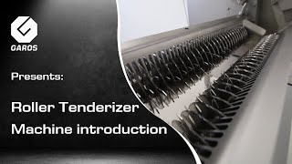 Roller Tenderizer  Machine Introduction [upl. by Sheng318]