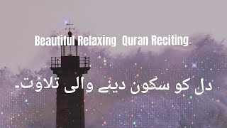 Relaxing Quran Reciting  Dil ko Sukoon dene Wali Tilawat  Abdul Rahman Mossad  Surah Sajdah [upl. by Wash]