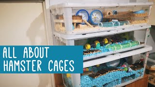 All About Hamster Cages [upl. by Robinetta619]