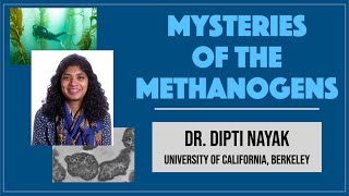 Dipti Nayak UC Berkeley 2 Mysteries of the Methanogens [upl. by Aihpos]