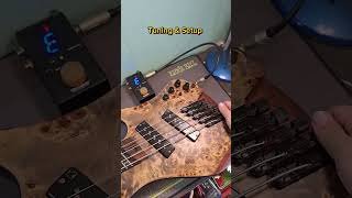 Ibanez EHB1505MS Smoothsounds บางแสน ชลบุรี bass setupbass [upl. by Elo]