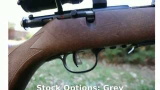 Savage Stevens 310 17 HMR Rifle  Information Tech Details [upl. by Marya]