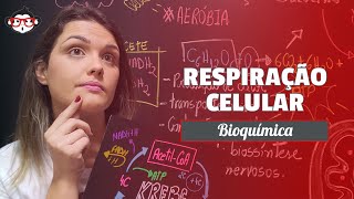 Respiração Celular Aeróbia Glicólise Ciclo de Krebs e Fosforilação Oxidativa 🐵 [upl. by Noelc]