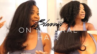 How to SAFELY Blow Dry THICK KINKY NATURAL HAIR  Reduced Manipulation amp Breakage [upl. by Eberly892]