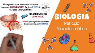 Retículo Endoplasmático Liso e Rugoso  Biologia  Citologia l Prof William de Andrade [upl. by Hardan]