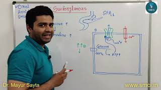 Oral Antidiabetic Drug  Sulfonylureas  Glyburide  Glipizide  Mechanism of Action  Pharmacology [upl. by Dnalel]