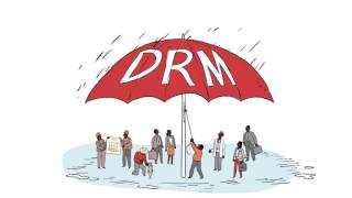 Building Capacity for Disaster Risk Management [upl. by Giff]