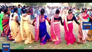 Nagpuri chain dance  nagpuri song  sadri sadi geet  sadri dj nagppuri dj nitesh [upl. by Niroht]