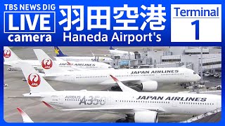 【ライブ】羽田空港 第1ターミナルのライブカメラ 現在の様子は？Haneda Airports Terminal 1 TBS NEWS DIG [upl. by Anerb]