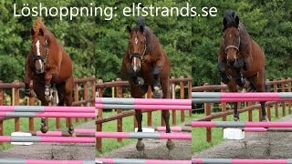 Löshoppning elfstrandsse [upl. by Aerdnaed]