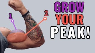 How to Grow Your Biceps Peak 4 ScienceBased Tips [upl. by Ahsienyt]