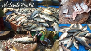 Wholesale Fish Market in Hyderabad  Ramnagar fish market [upl. by Lyrad177]