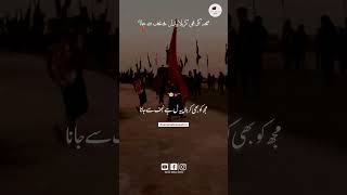 Karbala Janay Walon  Mir Jawad Mir  Mir Hasan Mir Nohay 2024  Muharram 20241446 mirhasanmir [upl. by Nazay]