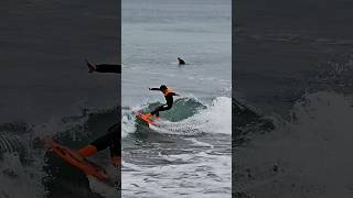 Skurfing small waves スカーフィング extremesports 小波 [upl. by Oiruam799]