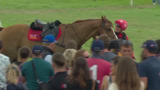 Haras du Pin  Eventing European 2023  Best falls and refusals [upl. by Ailam818]