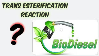 BiodieselTrans Esterification Reaction [upl. by Andonis]