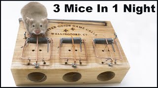 Mouse Triple  The Master Guide Game Calls Mouse Trap x 3 Mice Mousetrap Monday [upl. by Boyse]