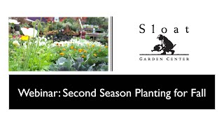 Second Season Fall Veggie Planting [upl. by Hayes]