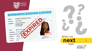 Renewing your drivers licence online [upl. by Oflunra]