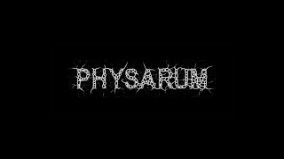 Physarum for After Effects [upl. by Tollman]