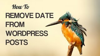 Remove Date from WordPress Posts [upl. by Nylkaj504]