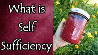 What is Self Sufficiency [upl. by Tandie877]