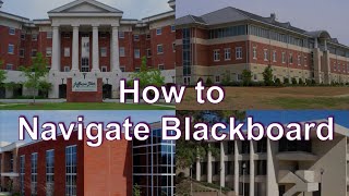 How to Navigate Blackboard [upl. by Aitahs]