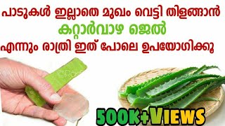 മുഖം വെളുക്കാൻ ഇനി കാശുമുടക്കേണ്ട വെറും കറ്റാർവാഴ മാത്രം മതി  Homemade Aloe Vera Gel  Rasfis Kitc [upl. by Kitti]