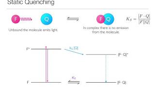 Quenching Concept [upl. by Drue]