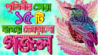 পৃথিবীর সেরা সকলের পছন্দের ১৫ টি বাছাই করা গজল Very Heart Touching Gojol  Islamic Bangla Gojol [upl. by Needan]