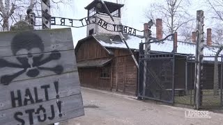 Shoah ad Auschwitz i sopravvissuti celebrano il Giorno della Memoria [upl. by Kirk]