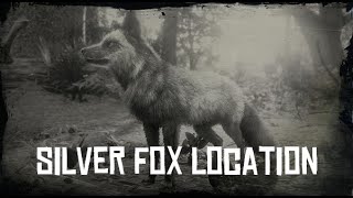 RDR2 Silver Fox Location SPAWN LOCATION [upl. by Naomi]