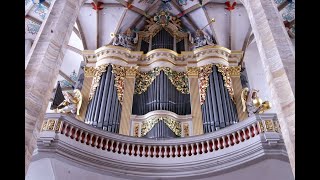 Abendmusik zu Christi Himmelfahrt an der SilbermannOrgel im Freiberger Dom mit Albrecht Koch [upl. by Weig]