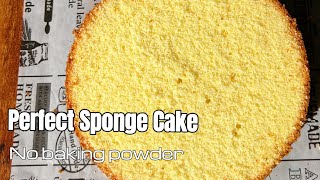 EVERY Detail for Making a Perfect Sponge Cake  Easy Reliable Sponge Cake Recipe [upl. by Koller]