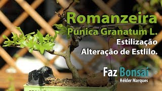 Romanzeira quotPunica Granatum Lquot  Estilização e mudança de estilo [upl. by Eseeryt562]