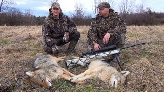 Coyote Hunting Pandemonium DownWind Outdoors [upl. by Oranneg]