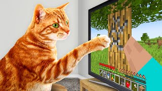 I Taught My Cats to Beat Minecraft in Real Life [upl. by Louie658]