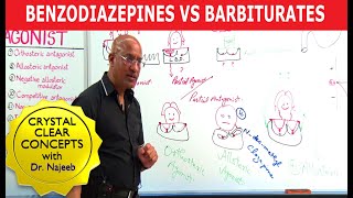 Benzodiazepines Vs Barbiturates  Pharmacology  Dr Najeeb Lectures [upl. by Lalittah296]